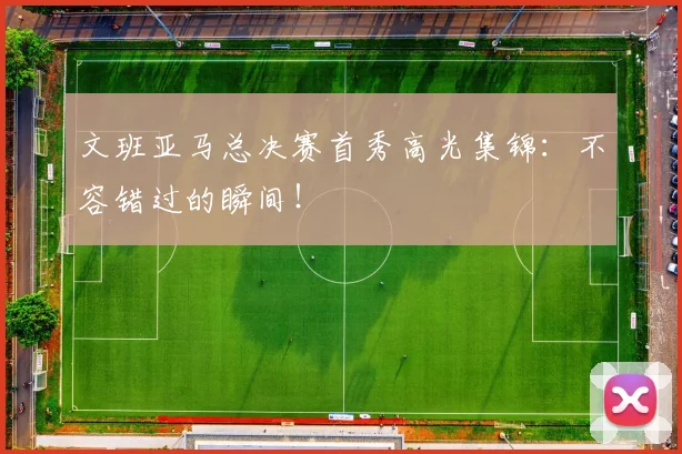文班亚马总决赛首秀高光集锦:不容错过的瞬间!